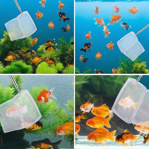 2 Pack 3 Inch Aquarium Net Small Fish Net Aquarium Shrimp Nets with Extendable Stainless Steel Handle Fine Tank Tool Mesh for Shrimp, Baby Fish, Food Residue Debris Skimming in Kuwait