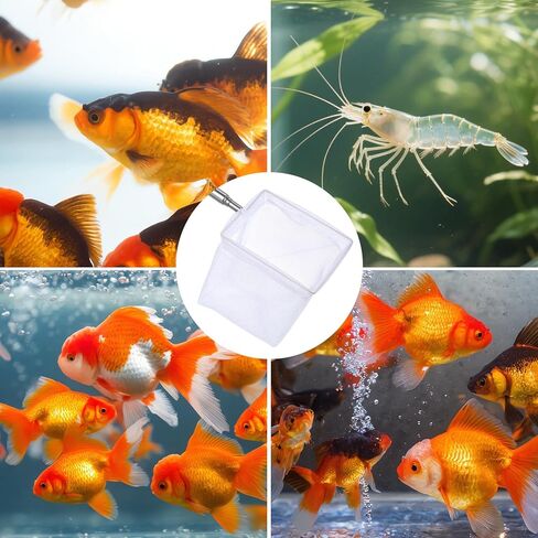 2 Pack 3 Inch Aquarium Net Small Fish Net Aquarium Shrimp Nets with Extendable Stainless Steel Handle Fine Tank Tool Mesh for Shrimp, Baby Fish, Food Residue Debris Skimming in Kuwait