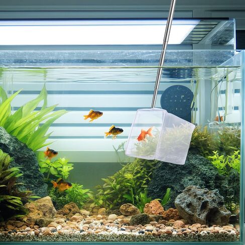 2 Pack 3 Inch Aquarium Net Small Fish Net Aquarium Shrimp Nets with Extendable Stainless Steel Handle Fine Tank Tool Mesh for Shrimp, Baby Fish, Food Residue Debris Skimming in Kuwait