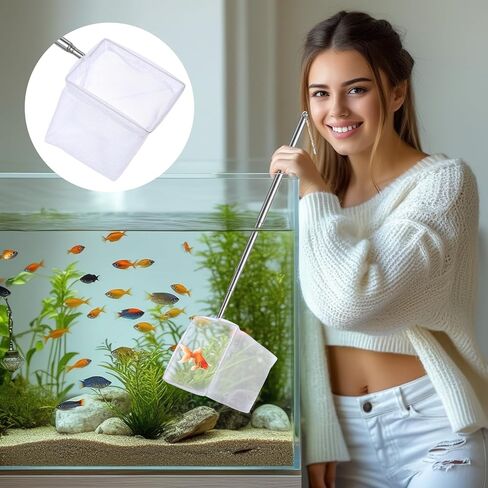 2 Pack 3 Inch Aquarium Net Small Fish Net Aquarium Shrimp Nets with Extendable Stainless Steel Handle Fine Tank Tool Mesh for Shrimp, Baby Fish, Food Residue Debris Skimming in Kuwait