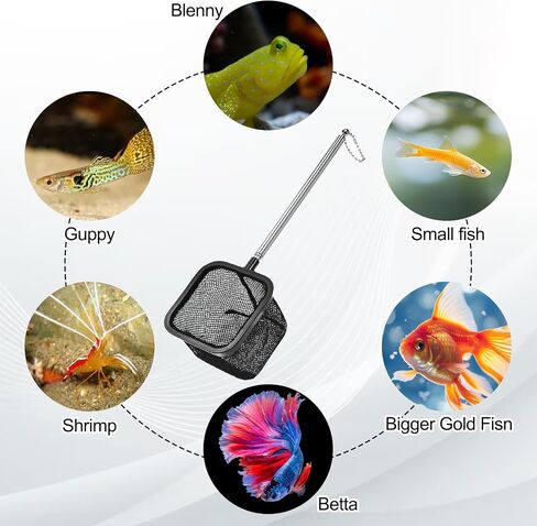 Aquarium Shrimp Net, Shrimp Skimming Aquarium Nets with Extendable Stainless Steel Handle Fish Net for Fish Tank Aquariums Small Ponds Baby-Fish Food Residue Debris, Retractable 7.8-18 Inches Long in Saudi Arabia