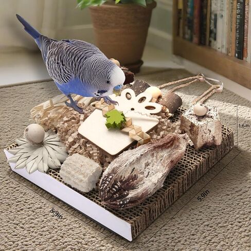 ألعاب Bird Kyouki ، ألعاب الببغاء ، لعبة الببغاء ، Conure معلقة من الورق المقوى القابل للمضغ مناسبة للببدينات ، الكوكاتيل ، طيور الحب ، مخططات الشمس - وغيرها من الببغاوات الصغيرة/المتوسطة (متوسطة) in Kuwait