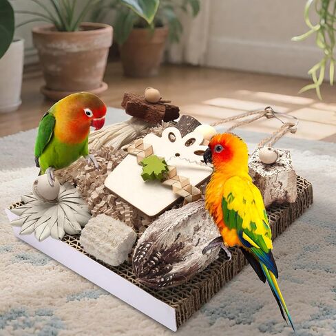 ألعاب Bird Kyouki ، ألعاب الببغاء ، لعبة الببغاء ، Conure معلقة من الورق المقوى القابل للمضغ مناسبة للببدينات ، الكوكاتيل ، طيور الحب ، مخططات الشمس - وغيرها من الببغاوات الصغيرة/المتوسطة (متوسطة) in Kuwait