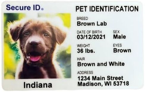 Pet ID Card Dog Cat Emergency Contact Card for Pets - Home Alone Instructions PVC with Key Tag Secure ID, LLC in Saudi Arabia