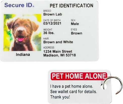 Pet ID Card Dog Cat Emergency Contact Card for Pets - Home Alone Instructions PVC with Key Tag Secure ID, LLC in Saudi Arabia