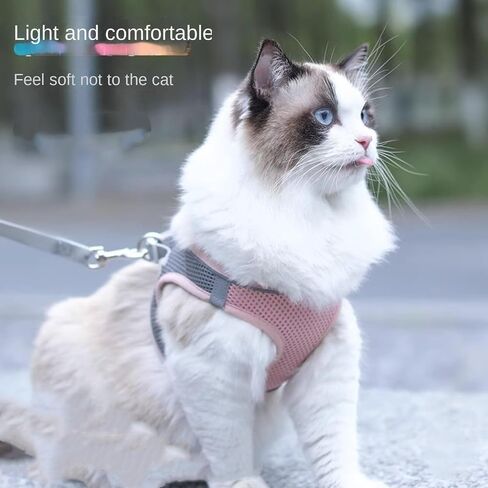 Cat Leash Anti Slip Dog Leash for Summer outings cat Leash Vest Style Chest Harness cat Supplies in Saudi Arabia