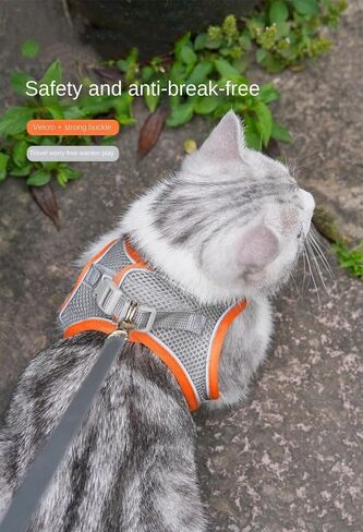 Cat Leash Anti Slip Dog Leash for Summer outings cat Leash Vest Style Chest Harness cat Supplies in Saudi Arabia