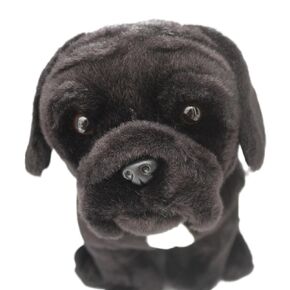 Cane Corso Plush Toy Dog Plushie Can Be Personalized & Customized With An Engraved Tag, Collar and Stunning Gift Wrap in Kuwait