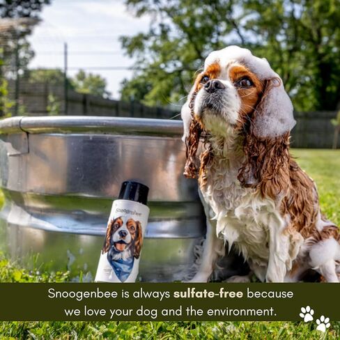 Scout Scented Dog Shampoo - Best Pet Shampoo for Dogs - Adventure Scented Moisturizing & Hydrating Doggy Shampoo - Makes Combing Easier, Promotes Fur Growth, Relieves Itchiness in Saudi Arabia