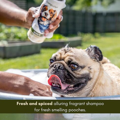 Scout Scented Dog Shampoo - Best Pet Shampoo for Dogs - Adventure Scented Moisturizing & Hydrating Doggy Shampoo - Makes Combing Easier, Promotes Fur Growth, Relieves Itchiness in Saudi Arabia