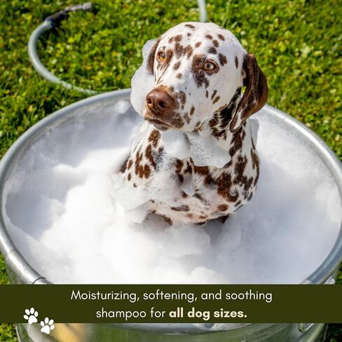 Scout Scented Dog Shampoo - Best Pet Shampoo for Dogs - Adventure Scented Moisturizing & Hydrating Doggy Shampoo - Makes Combing Easier, Promotes Fur Growth, Relieves Itchiness in Saudi Arabia