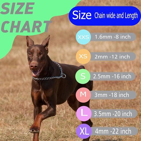Chain Collar for Dogs, Metal Slip Link Heavy Duty Dog Choker Collar Training Puppy Collars for XXS XS Small Medium Large Dogs, Silver S in Kuwait