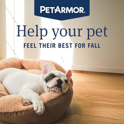 PetArmor Ear Mite and Tick Treatment for Dogs & Cats in Saudi Arabia