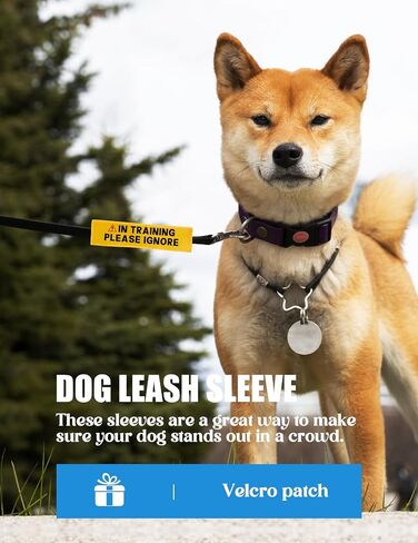 in Training Please Ignore Leash Sleeve, Funny Yellow Dog Alert Hanging ID Patch Tag, Do Not Pet Working Leash Wrap, Pet Birthday Gifts for Dog Owners in Kuwait