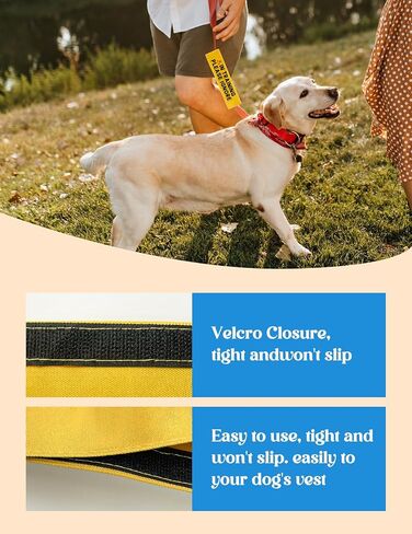 in Training Please Ignore Leash Sleeve, Funny Yellow Dog Alert Hanging ID Patch Tag, Do Not Pet Working Leash Wrap, Pet Birthday Gifts for Dog Owners in Kuwait