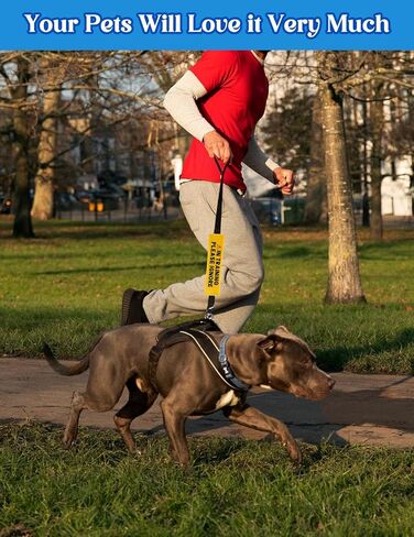 in Training Please Ignore Leash Sleeve, Funny Yellow Dog Alert Hanging ID Patch Tag, Do Not Pet Working Leash Wrap, Pet Birthday Gifts for Dog Owners in Kuwait