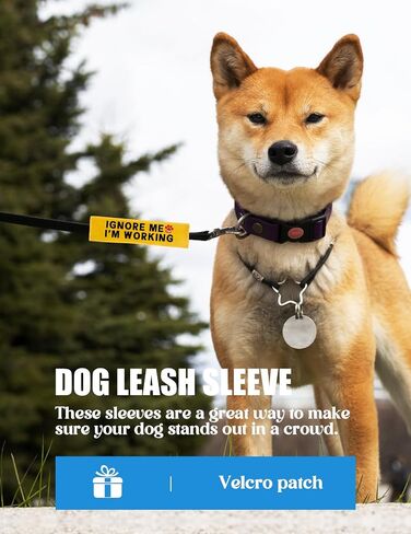 in Training Please Ignore Leash Sleeve, Funny Yellow Dog Alert Hanging ID Patch Tag, Do Not Pet Working Leash Wrap, Pet Birthday Gifts for Dog Owners in Kuwait