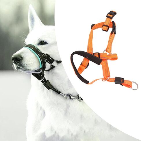 Fdit Dog Collar Dog Halter with Safety Strap, Pet Headcollar Stops Pets from Pulling for Outdoor Walk (L) in Saudi Arabia