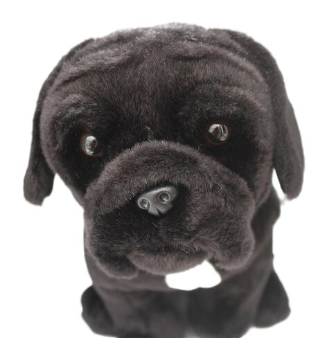 Cane Corso Plush Toy Dog Plushie Can Be Personalized & Customized With An Engraved Tag, Collar and Stunning Gift Wrap in Kuwait