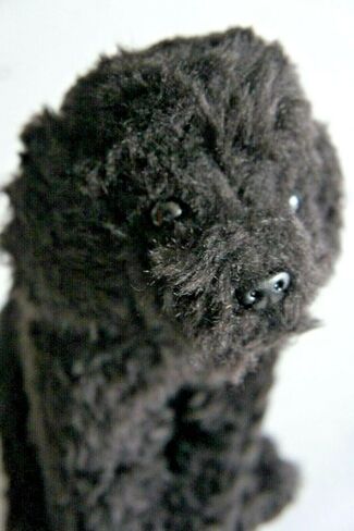 Black Golden Doodle 12" Plush Toy Dog Plushie Can Be Personalized & Customized With An Engraved Tag, Collar and Stunning Gift Wrap in Kuwait