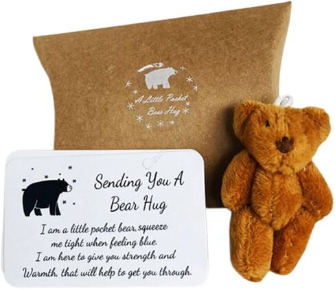 Personalized Mini Stuffed Bear in a Tin Plush Pocket Bear for Anti Anxiety Stress Worry Christmas Baby Shower Friend Birthday Supplies Gift (Style 2) in Saudi Arabia