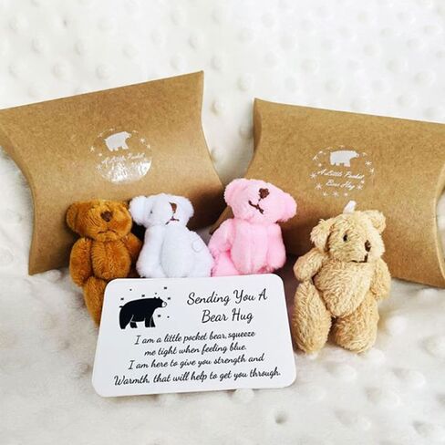 Personalized Mini Stuffed Bear in a Tin Plush Pocket Bear for Anti Anxiety Stress Worry Christmas Baby Shower Friend Birthday Supplies Gift (Style 2) in Saudi Arabia