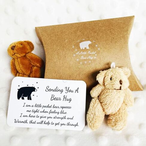 Personalized Mini Stuffed Bear in a Tin Plush Pocket Bear for Anti Anxiety Stress Worry Christmas Baby Shower Friend Birthday Supplies Gift (Style 2) in Saudi Arabia