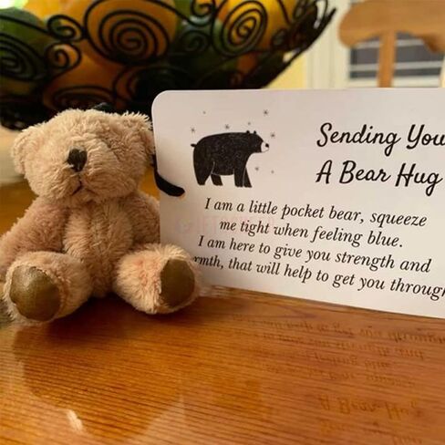 Personalized Mini Stuffed Bear in a Tin Plush Pocket Bear for Anti Anxiety Stress Worry Christmas Baby Shower Friend Birthday Supplies Gift (Style 2) in Saudi Arabia