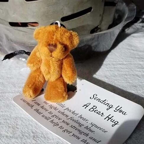Personalized Mini Stuffed Bear in a Tin Plush Pocket Bear for Anti Anxiety Stress Worry Christmas Baby Shower Friend Birthday Supplies Gift (Style 2) in Saudi Arabia