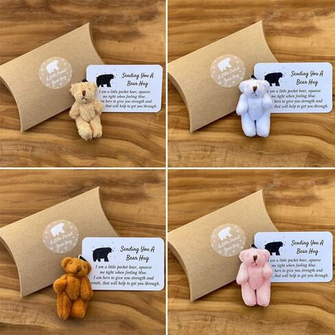 Personalized Mini Stuffed Bear in a Tin Plush Pocket Bear for Anti Anxiety Stress Worry Christmas Baby Shower Friend Birthday Supplies Gift (Style 2) in Saudi Arabia
