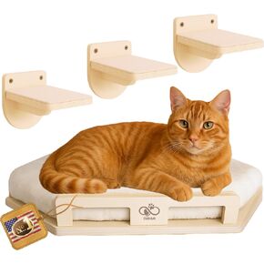 Cat Wall Shelves for Large Cats & Kitten – Solid Wood Large Corner Bed + Cushion with 2 Washable Covers + 3 Wooden Steps, Safe Haven for Indoor Cats, Cat Shelves for Wall, Black in Saudi Arabia