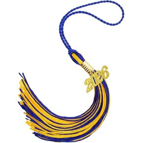 2025 Tassel Graduation ، Tassel Tassel Black ، 2025 Capuations Cap Tassels ، 2025 شرابات مع سحر ذهبي 2025 سنة لإكسسوارات غطاء التخرج لمراسم القبعات العليا in Kuwait