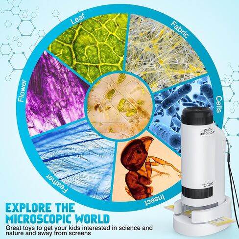المجهر المحمول للأطفال 60x-180x ، ألعاب Mini Mini Mini STEM و Science ، LED Pocket Little Collectist Microscopes مع 12pcs شرائح ، هدايا مقابل 6،7،8،9،10+ من الفتيان (الأزرق الأزرق والأبيض) in Kuwait