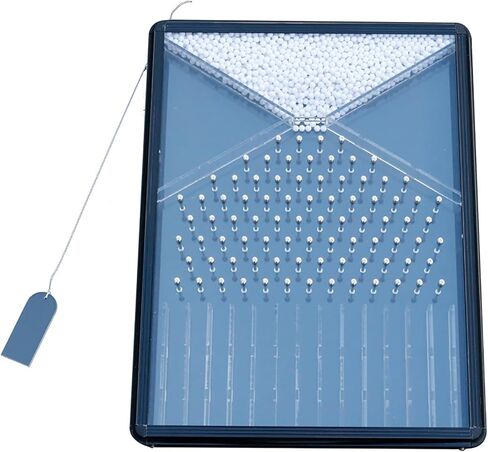 Experiment Model Dalton Board,Dalton Board/Galton Board,Effective Statistical Law Demonstration,for PhysicalSchool Laboratory Teaching in Saudi Arabia