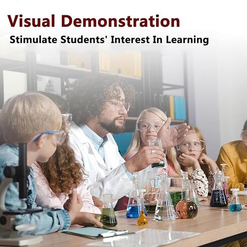 Experiment Model Dalton Board,Dalton Board/Galton Board,Effective Statistical Law Demonstration,for PhysicalSchool Laboratory Teaching in Saudi Arabia