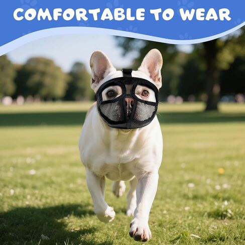 French Bulldog Muzzle with Open Eye Hole, Breathable Short Snout Dog Muzzle for English Bulldog, Pug, Pekingese to Prevent Biting(S,Black) in Kuwait