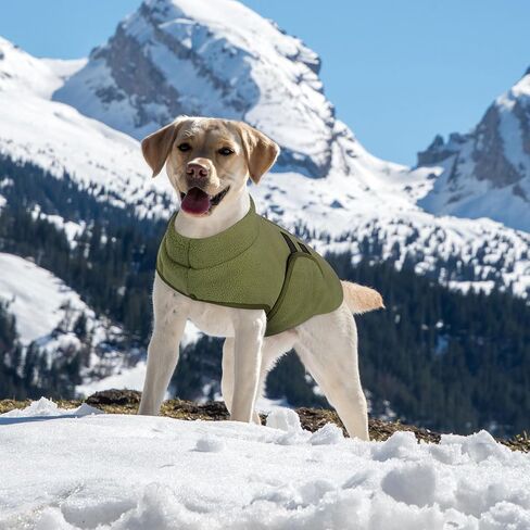 Queenmore Small Dog Sweater,Soft Fleece Dog Vest Dog Jacket with Leash Hole in Kuwait