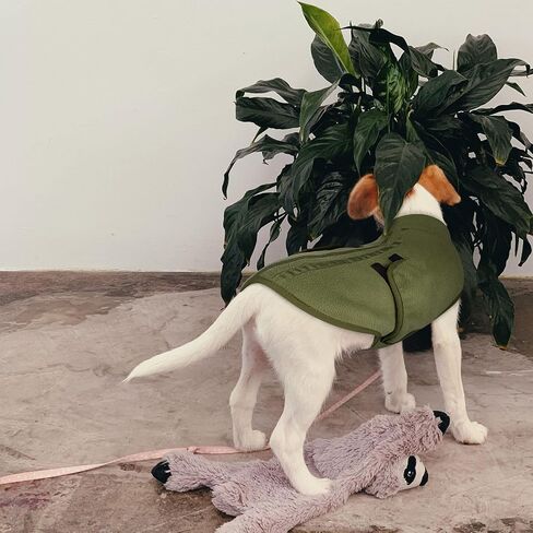 Queenmore Small Dog Sweater,Soft Fleece Dog Vest Dog Jacket with Leash Hole in Kuwait