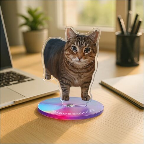 Oiiai Spinning Cat Ornament, Clear Acrylic Ornament, Animal Statue Ornament, Stress Reducer, Desk Ornament, Oiiai Cat Birthday Party Gift Decoration in Kuwait