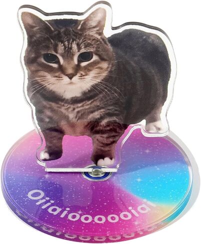 Oiiai Spinning Cat Ornament, Clear Acrylic Ornament, Animal Statue Ornament, Stress Reducer, Desk Ornament, Oiiai Cat Birthday Party Gift Decoration in Kuwait