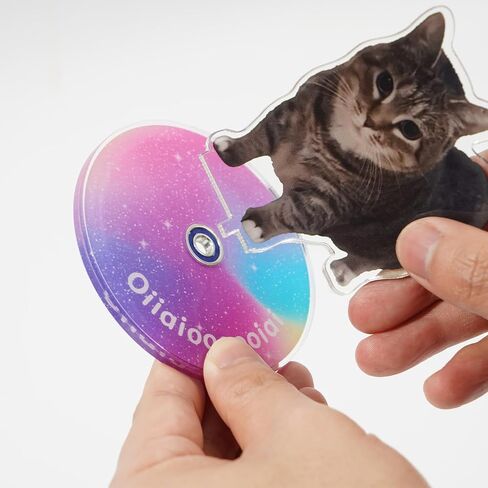 Oiiai Spinning Cat Ornament, Clear Acrylic Ornament, Animal Statue Ornament, Stress Reducer, Desk Ornament, Oiiai Cat Birthday Party Gift Decoration in Kuwait