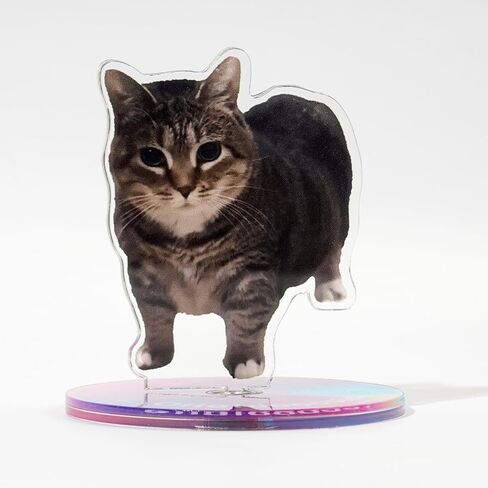 Oiiai Spinning Cat Ornament, Clear Acrylic Ornament, Animal Statue Ornament, Stress Reducer, Desk Ornament, Oiiai Cat Birthday Party Gift Decoration in Kuwait