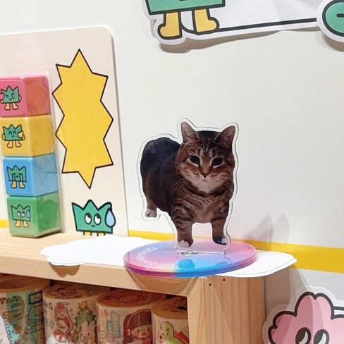 Oiiai Spinning Cat Ornament, Clear Acrylic Ornament, Animal Statue Ornament, Stress Reducer, Desk Ornament, Oiiai Cat Birthday Party Gift Decoration in Kuwait