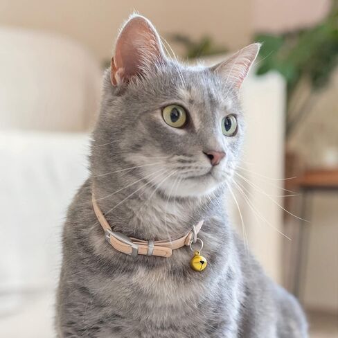 CollarDirect Leather Cat Collar with Removable Bell – Safety Elastic Strap (Breakaway Alternative) – Kitten Collar for Small & Big Boy & Girl Cats in Kuwait