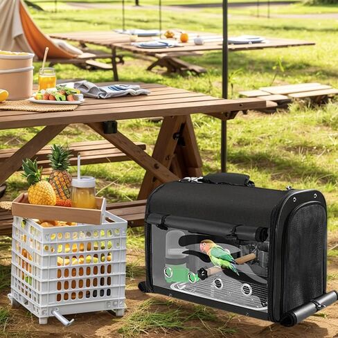 Sanmoncare Bird Carrier Bag Cockatiel Travel Cage مع حامل ، حاملة سفر خفيفة الوزن للطيور الصغيرة ، حقيبة سفر ببغاء محمولة ، حقيبة ظهر للحيوانات الأليفة الشفافة in Saudi Arabia