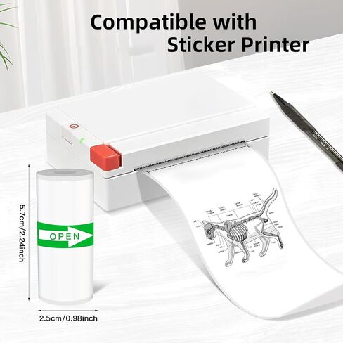 Thermal Printer Paper for Portable Printer, Transparent Sticker Paper, 4 Rolls Black Text Clear Thermal Labels in Saudi Arabia