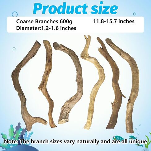 الخشب الطبيعية الطبيعية لديكور الحوض - خشب الخشب الأحمر 10 "-15" أشكال متنوعة طويلة (600 جرام) فروع آمنة لخزان الأسماك وموائل الزواحف - ديكورات خشب السمك الطبيعية (الفروع الخشنة) in Kuwait