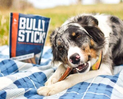 Wild Wolf 12-inch Angus Bully Sticks (8 Ounces) Healthy, All-Natural, Long-Lasting Dog Chew Bones - Low Odor - Mixed Thickness in Saudi Arabia