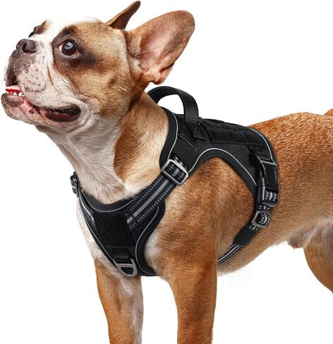 rabbitgoo Dog Harness Small Sized No Pull, Tactical Service Dog Vest with Molle and Control Handle, Adjustable and Reflective Military Pet Harness for Easy Walking and Training, Black, S in Saudi Arabia