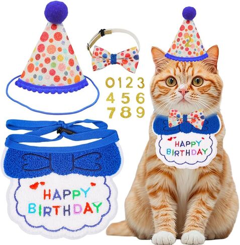 Cat Birthday Party Supplies, Girl Boy Cat Kitten Birthday Bandana Hat Numbers Decorations Outfits Set, Pink in Kuwait